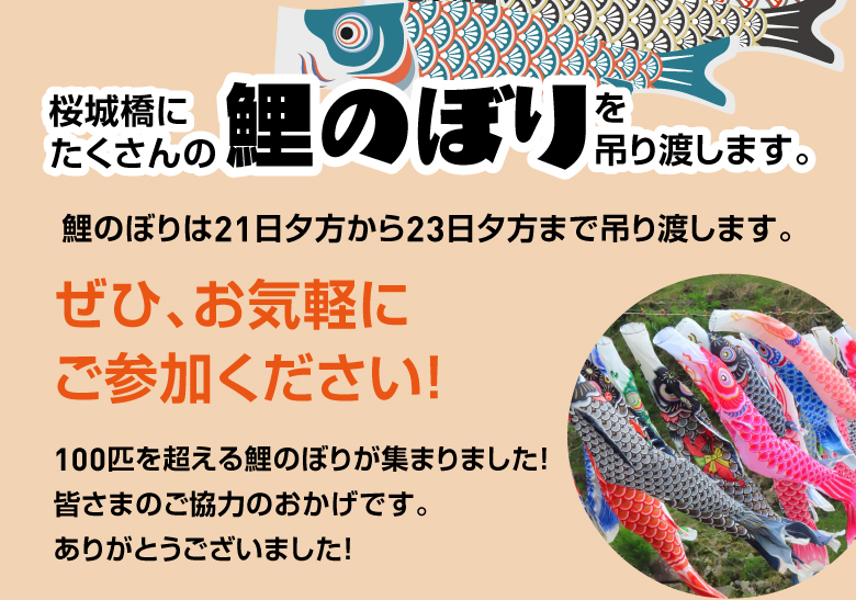 桜城橋にたくさんの鯉のぼりを吊り渡します。21日夕方から23日夕方まで吊り渡します。
